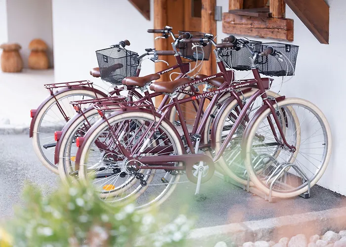 Les Loges Blanches 4* 梅杰夫